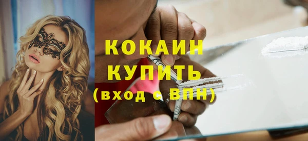 ГАЛЛЮЦИНОГЕННЫЕ ГРИБЫ Михайлов