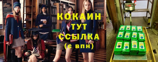 ГАЛЛЮЦИНОГЕННЫЕ ГРИБЫ Михайлов