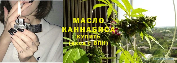 ГАЛЛЮЦИНОГЕННЫЕ ГРИБЫ Михайлов