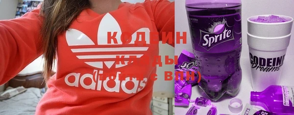ГАЛЛЮЦИНОГЕННЫЕ ГРИБЫ Михайлов